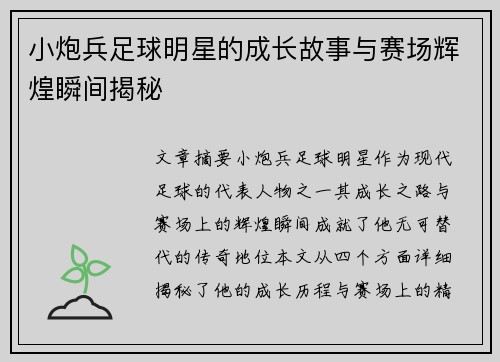 小炮兵足球明星的成长故事与赛场辉煌瞬间揭秘