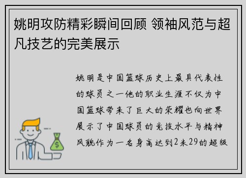 姚明攻防精彩瞬间回顾 领袖风范与超凡技艺的完美展示